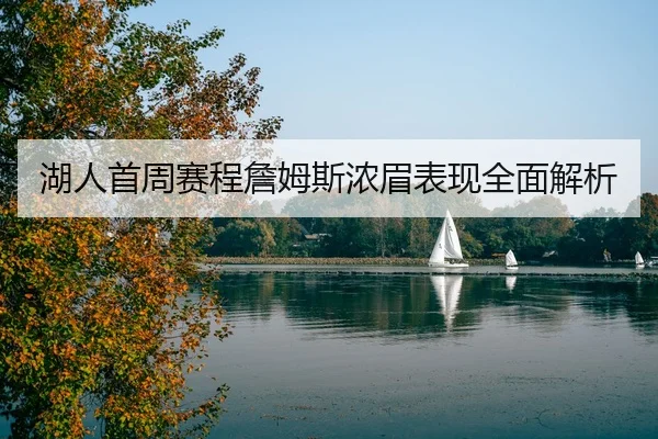 湖人首周赛程詹姆斯浓眉表现全面解析
